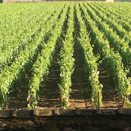 Holiday home Le De Marie