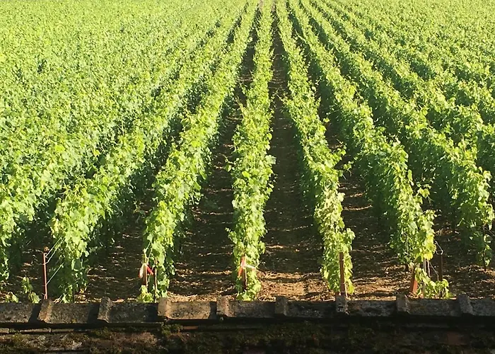 Feriehus Le De Marie